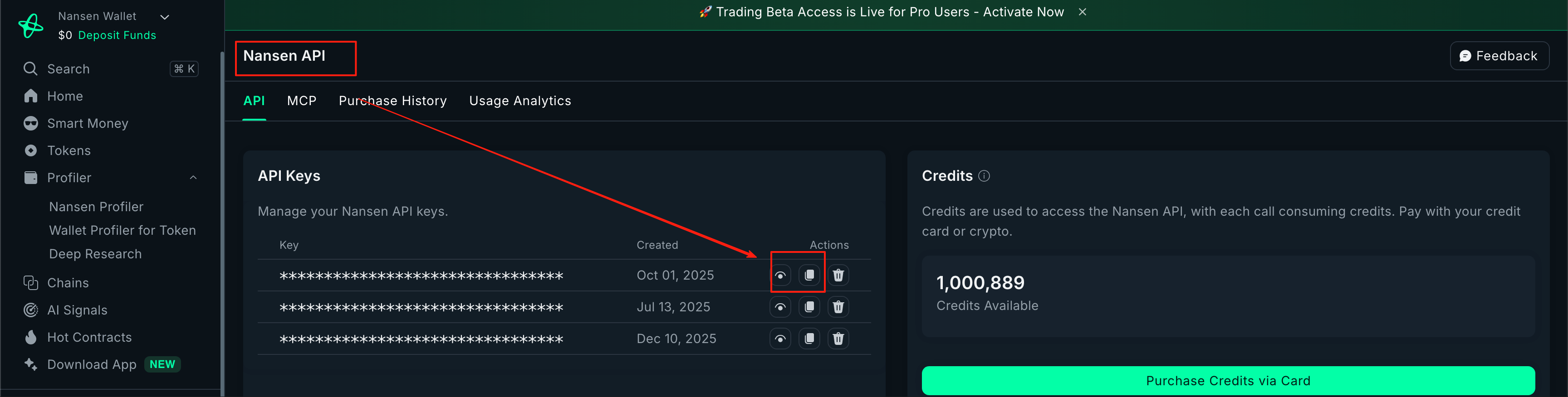 API Key 管理界面